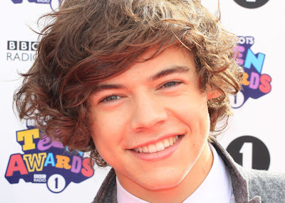 HARRY STYLES ONE DIRECTION HAIR