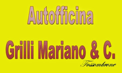 Autofficina Grilli Mariano & C.