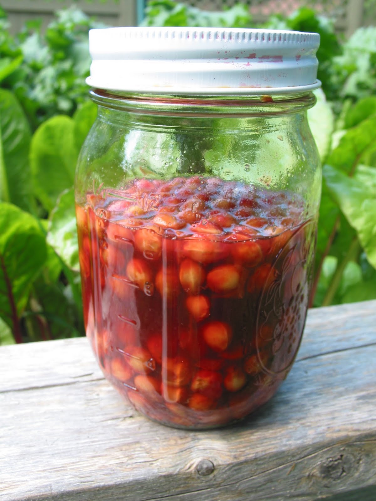 What Julia Ate: Cherry Pit Liqueur