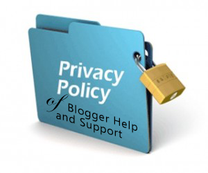 Blogger Help and Support Privacy Policys