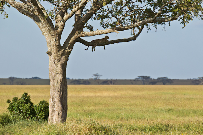 [Image: _D3E3447.jpg]