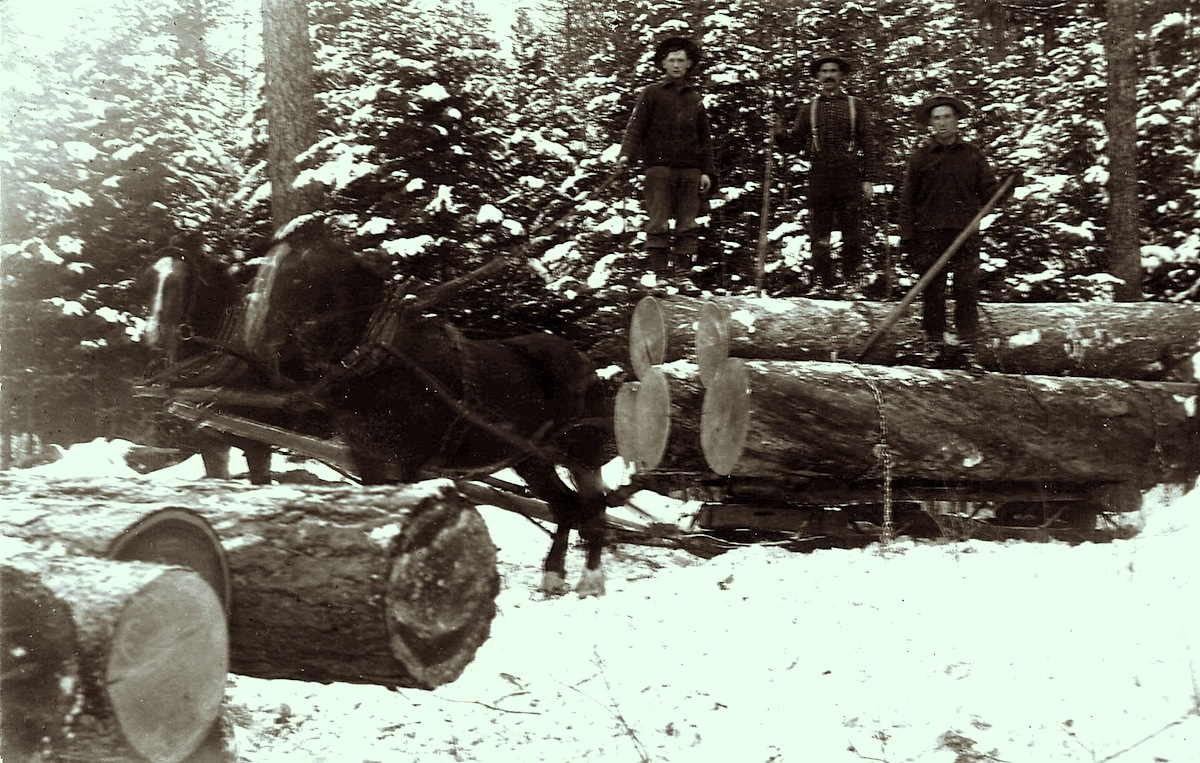 A drifting cowboy Cowboy Legacy Montana stump ranch 1912