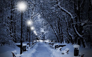 2012 Christmas Nature Wallpapers