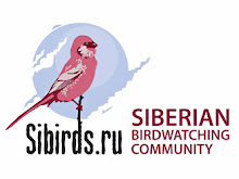 Птицы Сибири