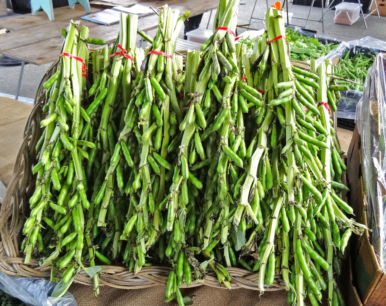 MAD MEAT GENIUS FERRY PLAZA CATTLE FODDER