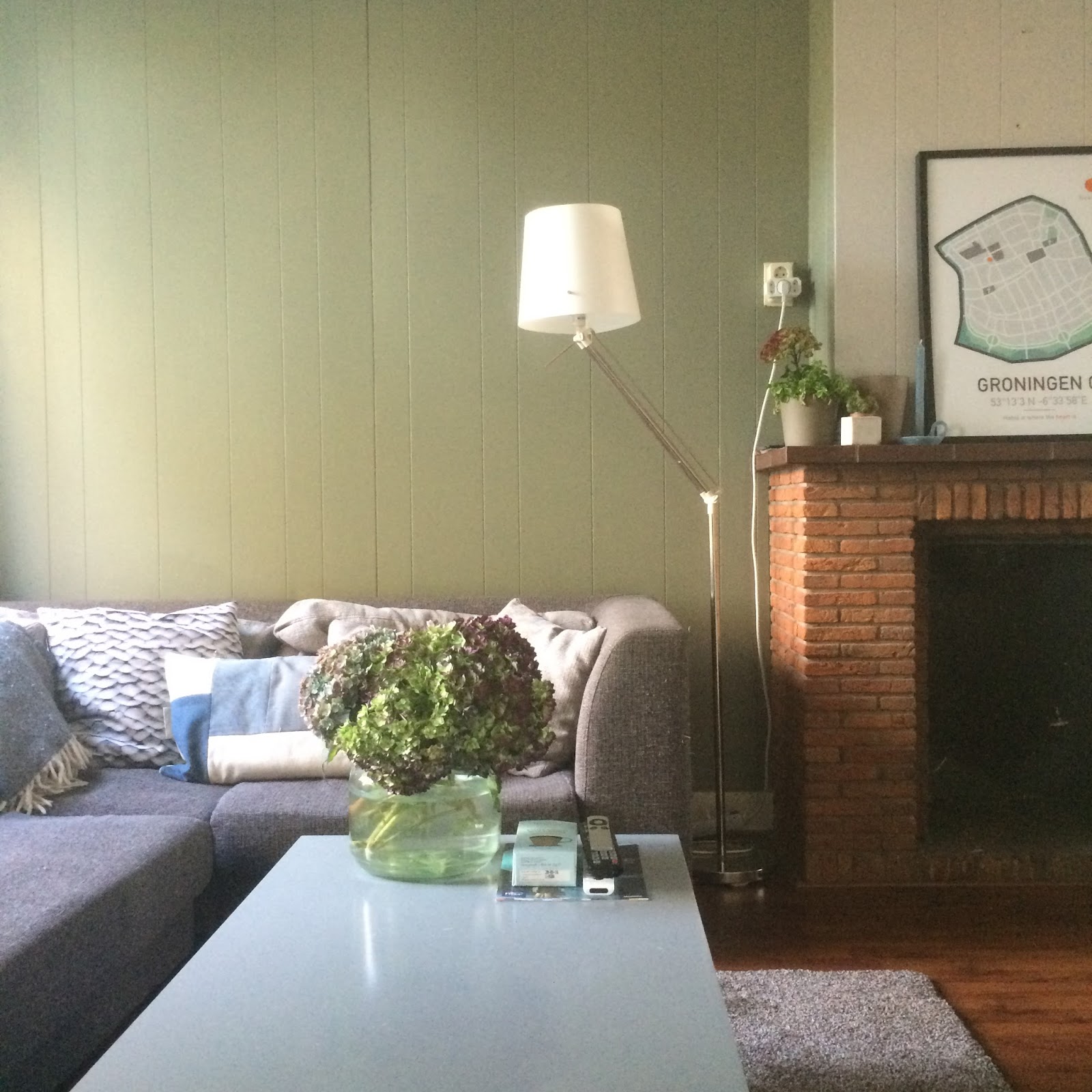 Mien pronkjewail : camouflage green
