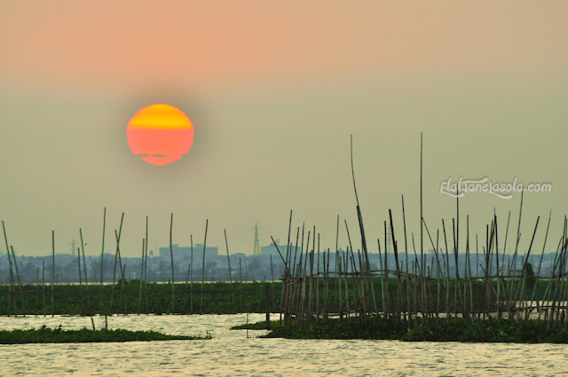 Wawa LakeSide, Angomo Sunset