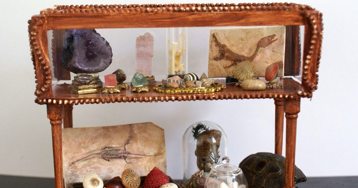 petit cabinet de curiosit 233 s minerals shells and fossils petit cabinet de curiosit 233 s minerals shells and fossils