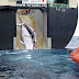 Ακτιβιστές vs Ιαπωνικών φαλαινοθηρικών
