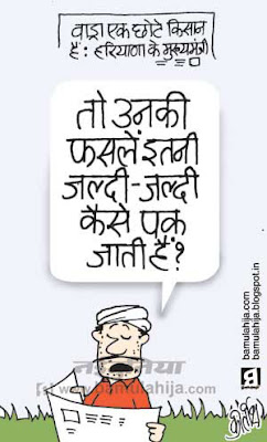 robert vadra cartoon, congress cartoon, corruption cartoon, corruption in india, indian political cartoon, common man cartoon