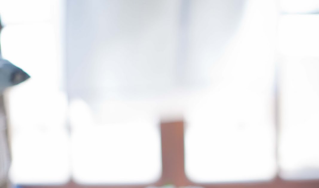 The Wedding Decorator French Style Shabby Chic Wedding at the