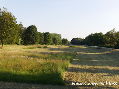 12 von 12 (Juni 2015)- neuesvomschloss.blogspot.de