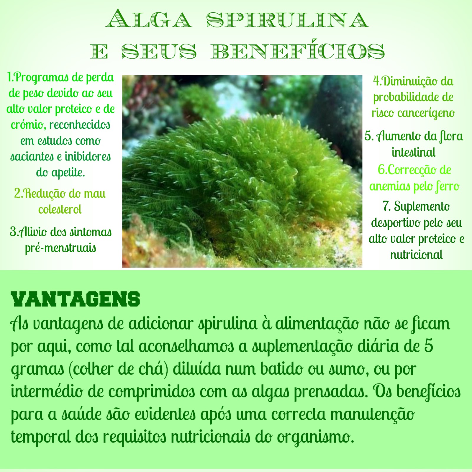 BLOG SHALOM NATURE ALGA SPIRULINA E SEUS BENEFÍCIOS