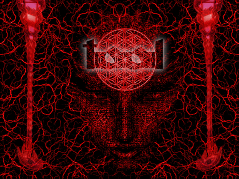 kelsey cooley tool background