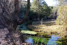 Ojos del Cabriel (Teruel)