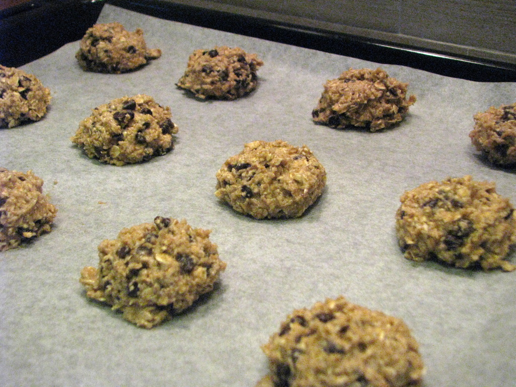 Thermomix Tarif Defterim Healthy Cookies