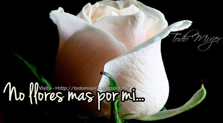 Todo Mujer NO LLORES MAS POR MI