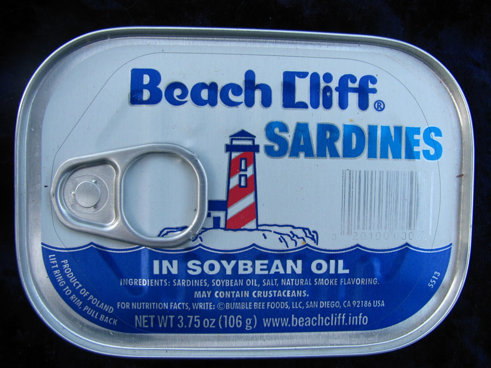 Mouth Full of Sardines Beach CliffSardines