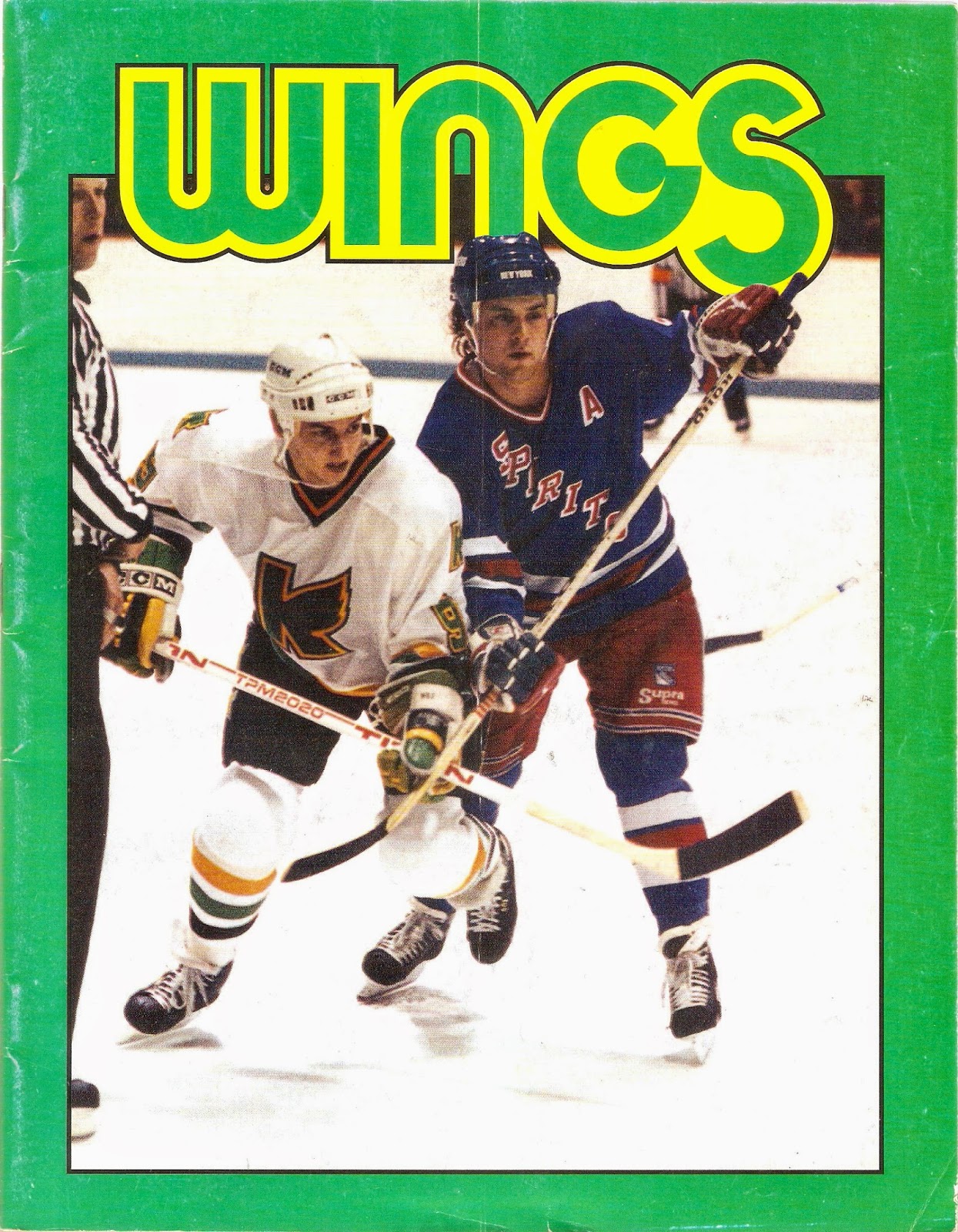 Kalamazoo Wings, (199091, IHL)