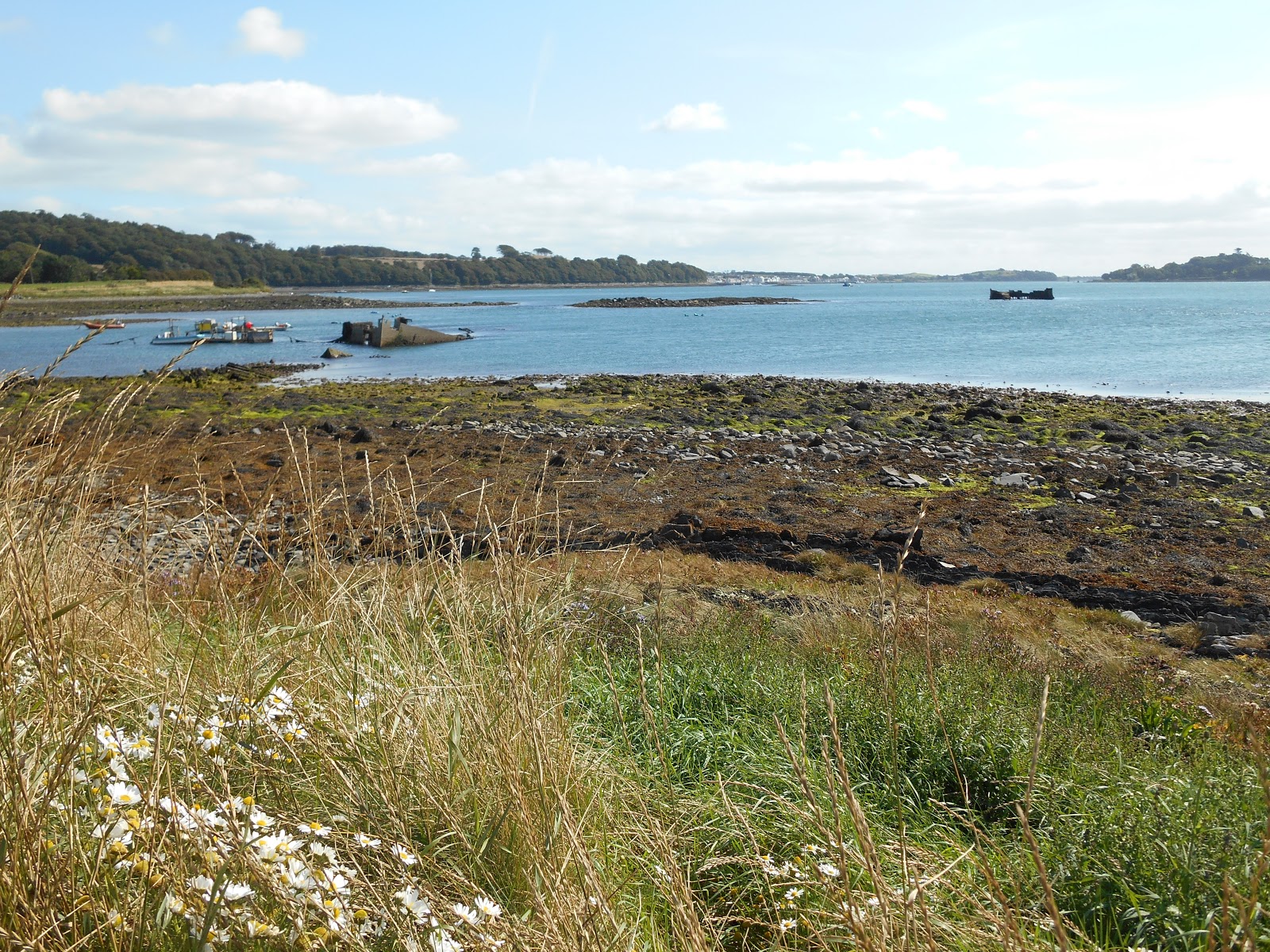 A lifetime of Islands Island 288 Ballyhenry Island, Strangford Lough