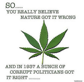 marijuana_got_it_wrong.jpg