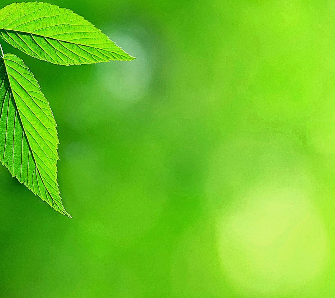 HTC Wallpapers HD Beautiful stunning Simple wallpapers HTC Wallpapers HD Beautiful stunning Simple wallpapers