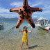 STAR FISH ISLAND | HONDA BAY ISLAND HOPPING TOUR