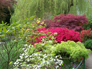 A Nice Backyard Landscaping Choice with Japanese Garden Design - Garden