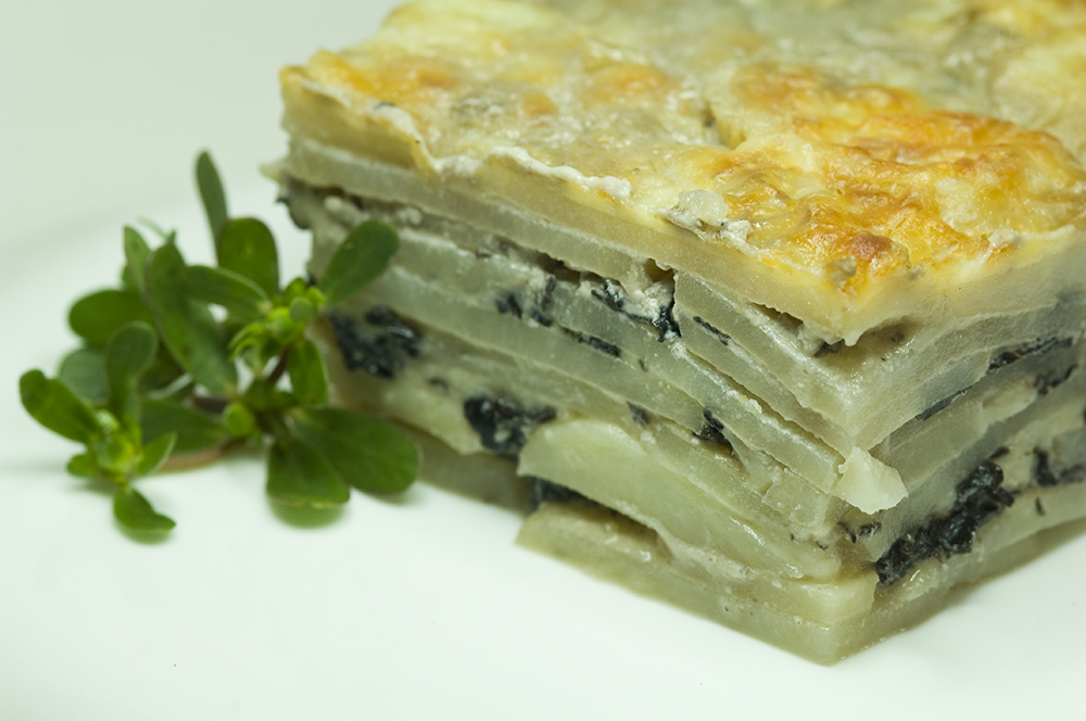 The 3 Foragers Foraging for Wild, Natural, Organic Food Black Trumpet