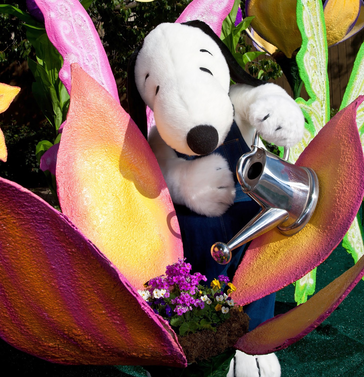 KBF+Bloom+Logo-page-001 Knott's Berry Bloom - Amusement Parks In Los Angeles CA