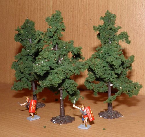 trees for hedges