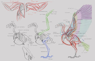 Concept Design Academy: "Animal Anatomy" with Jonathan Kuo~!!