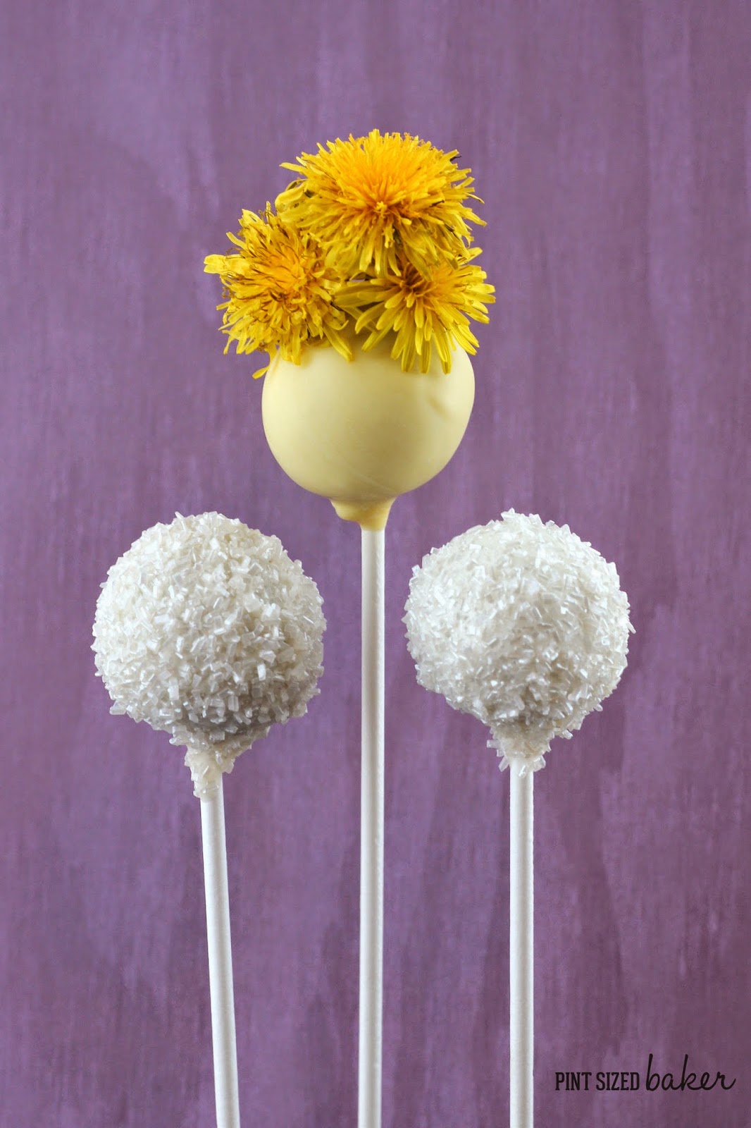 Dandelion Cake Pops 4 1+ps+Dandelion+Cake+Pops+(63)