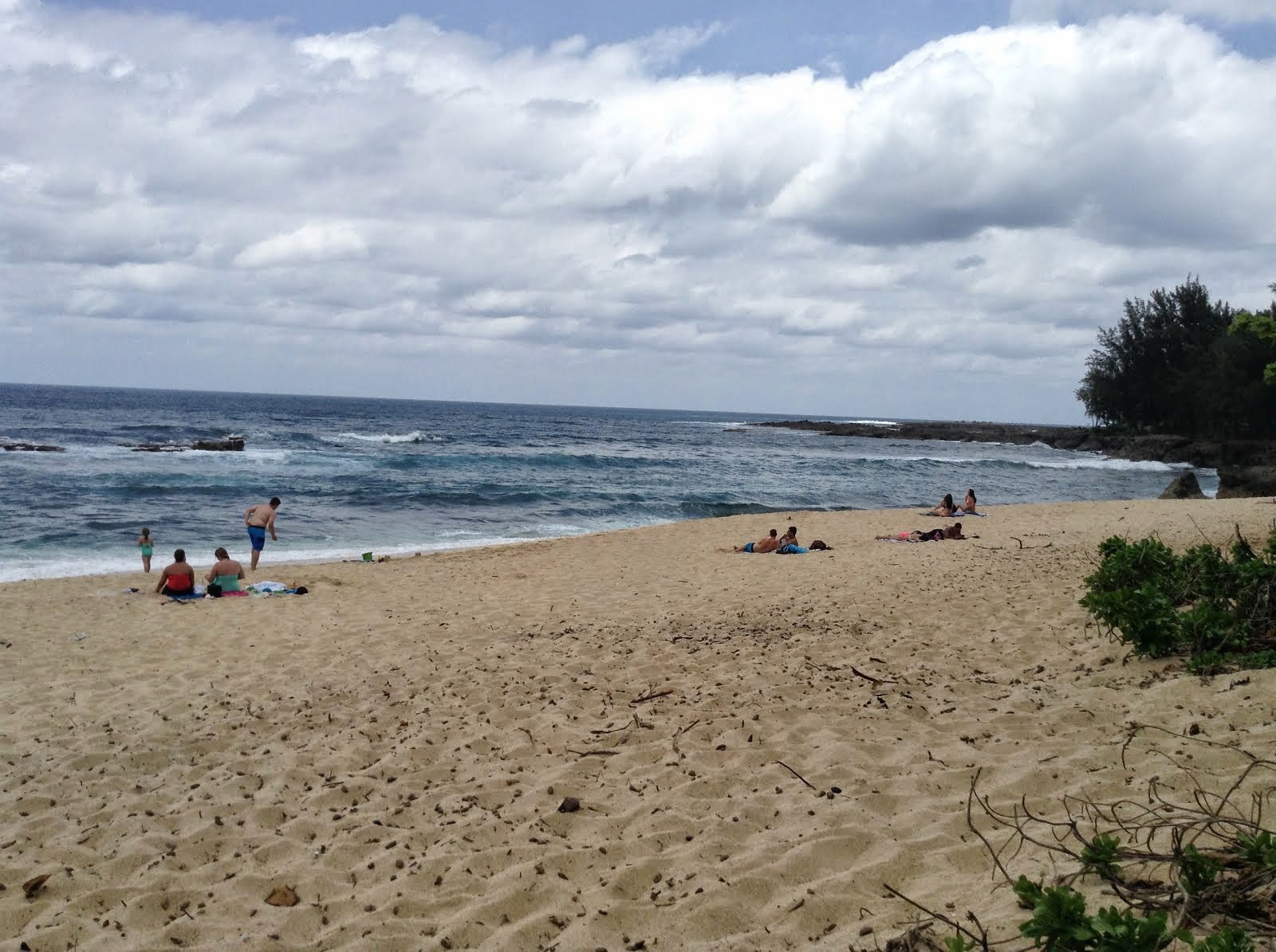 THE BEACHES OF HAWAII 2014