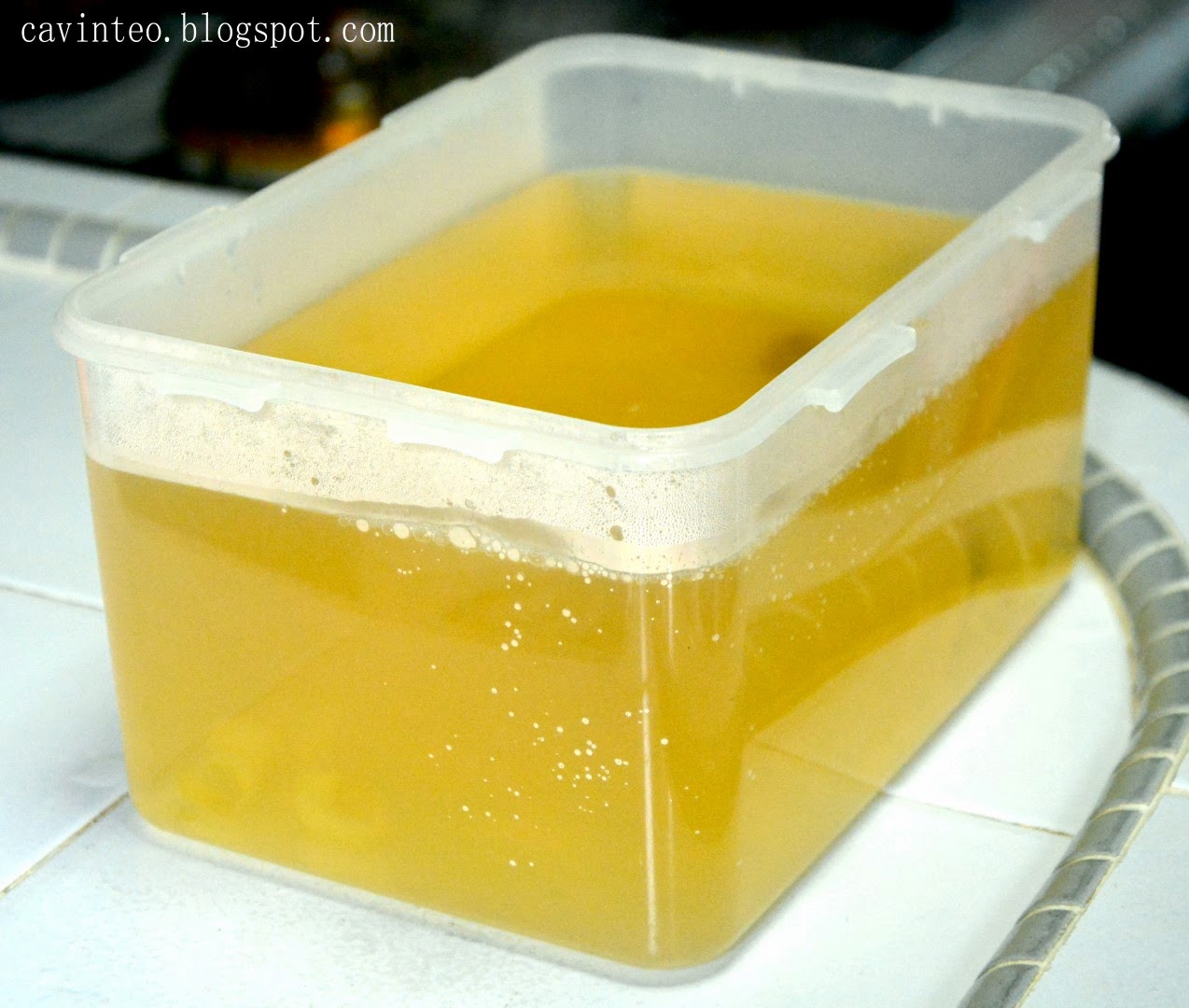 Entree Kibbles Coral Seaweed Jelly 100 Vegetarian 'Sea Bird's Nest' Rich in Collagen from