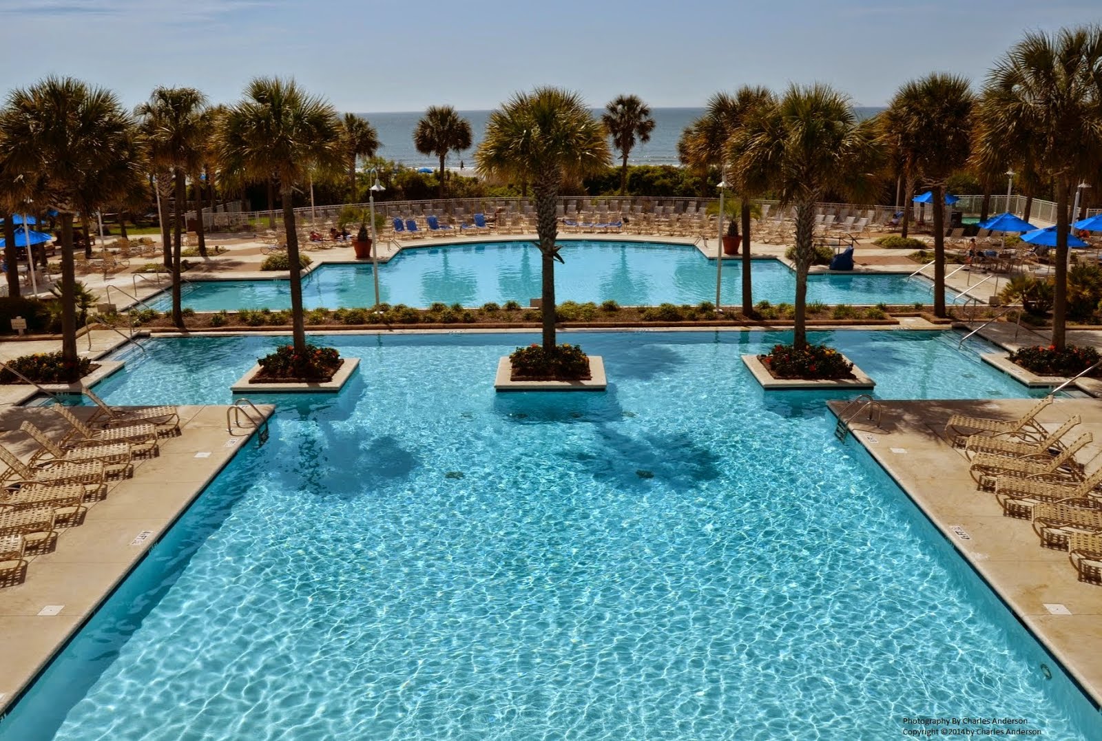 Ocean View Poolside