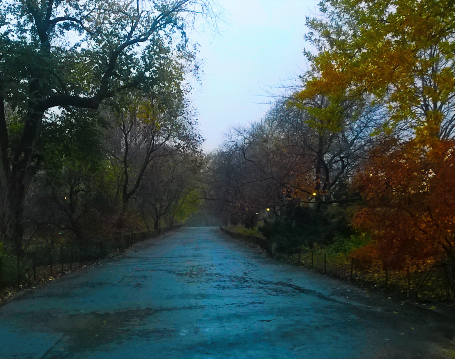 New York - Central Park Winter Rain