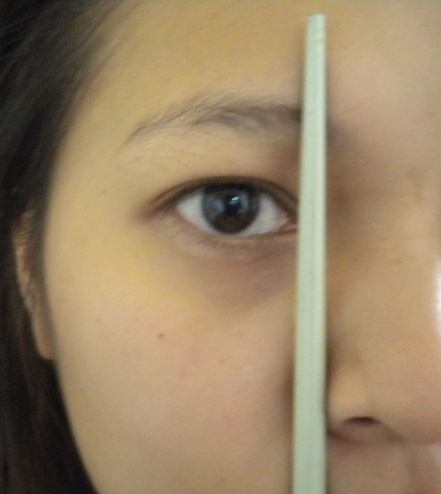 Dainty Md Make Up 101 Brows