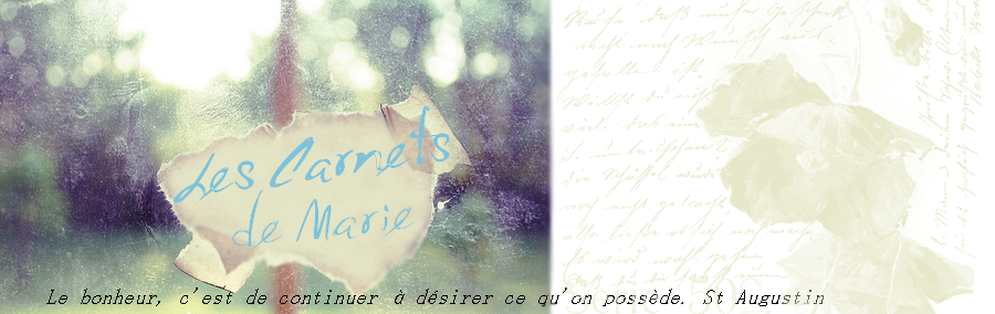 Les carnets de Marie