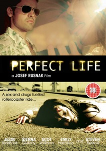 Perfect Life (2010) Hollywood Movie Watch Online Perfect Life (2010)