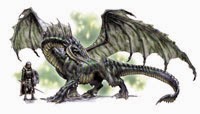 Black Dragon - European