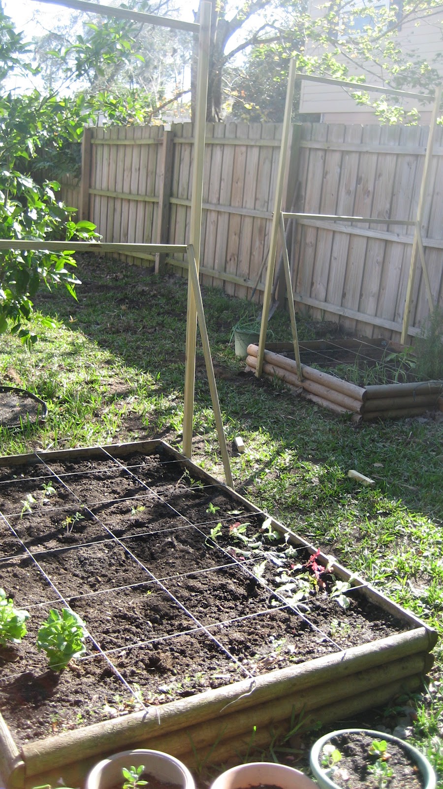 Michellan Square Foot Garden and Trellis