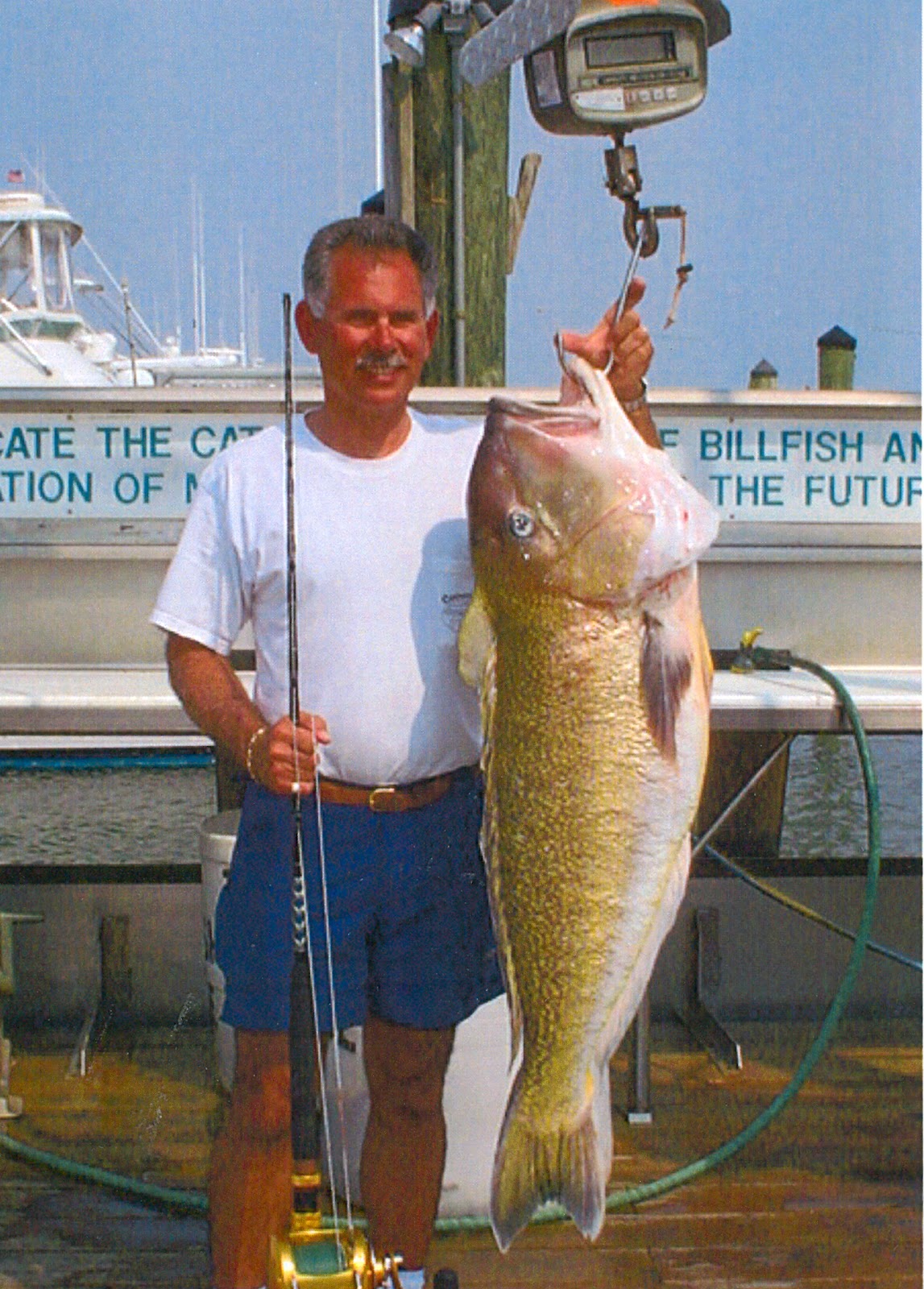 Big Fishes of the World TILEFISH GREAT NORTHERN (Lopholatilus