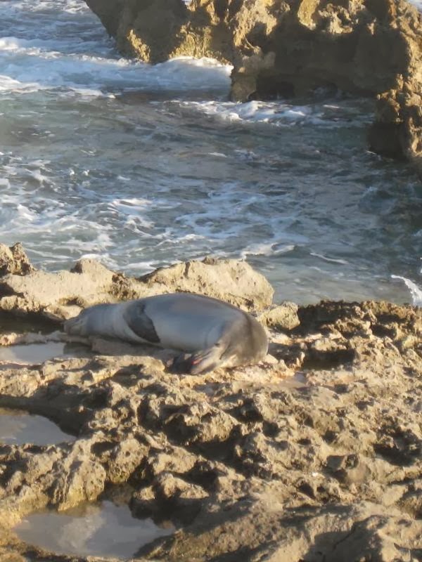 Pci ven_8086&dev_27d8&subsys_3011103c&rev_01 Pci ven_8086&dev_27d8&subsys_3011103c&rev_01