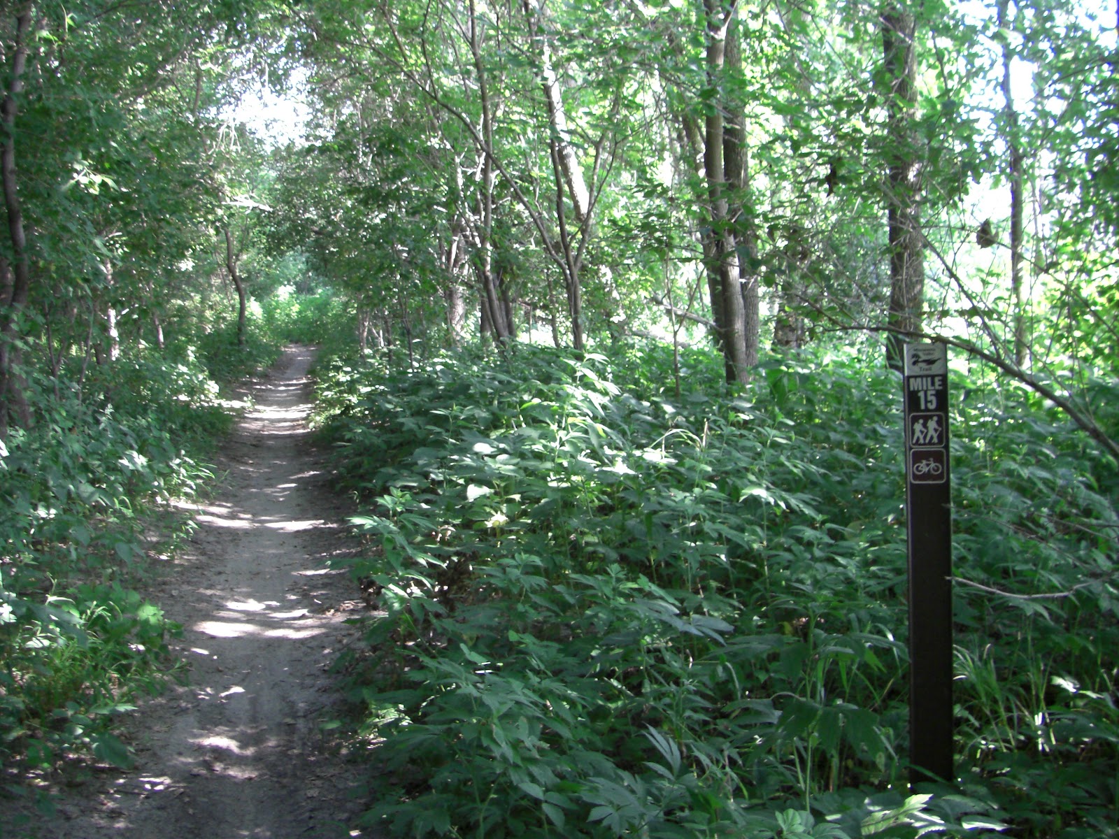 MN Bike Trail Navigator Minnesota River Bottoms West Segment Mid Summer Trail Report