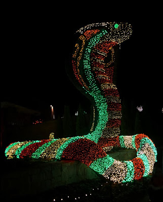 Garden Lights, Holiday Nights | 2013 | Candy Cane Cobra