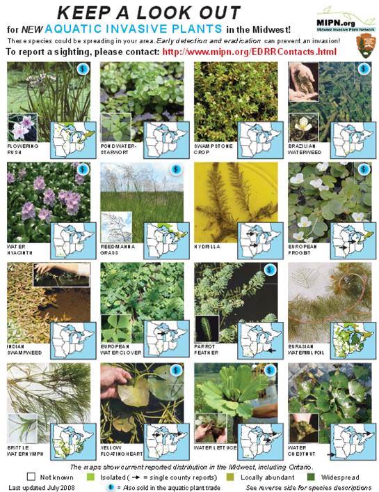 Updates from Illinois Cooperative Agricultural Pest Survey Program New Aquatic Invasive Plant
