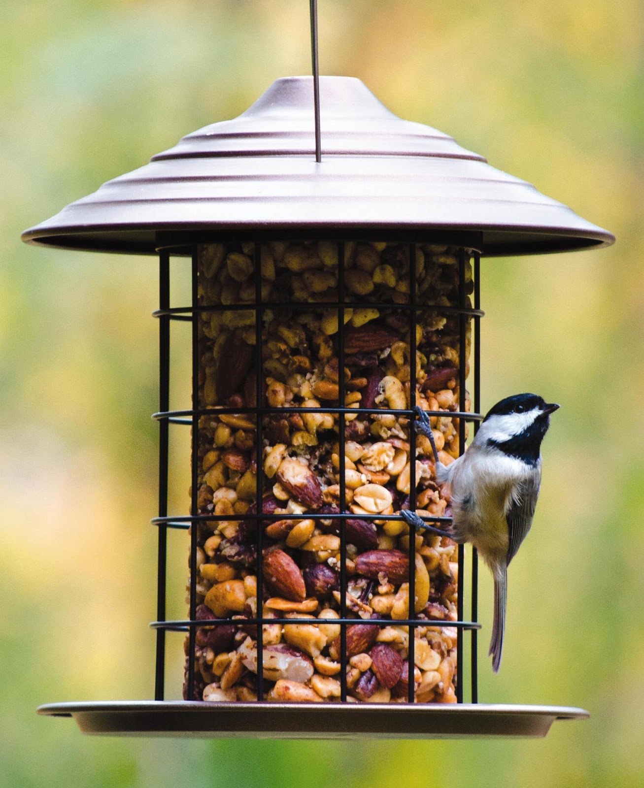 wild birds unlimited how to get rid of weeds under the wild birds unlimited how to get rid of weeds under the
