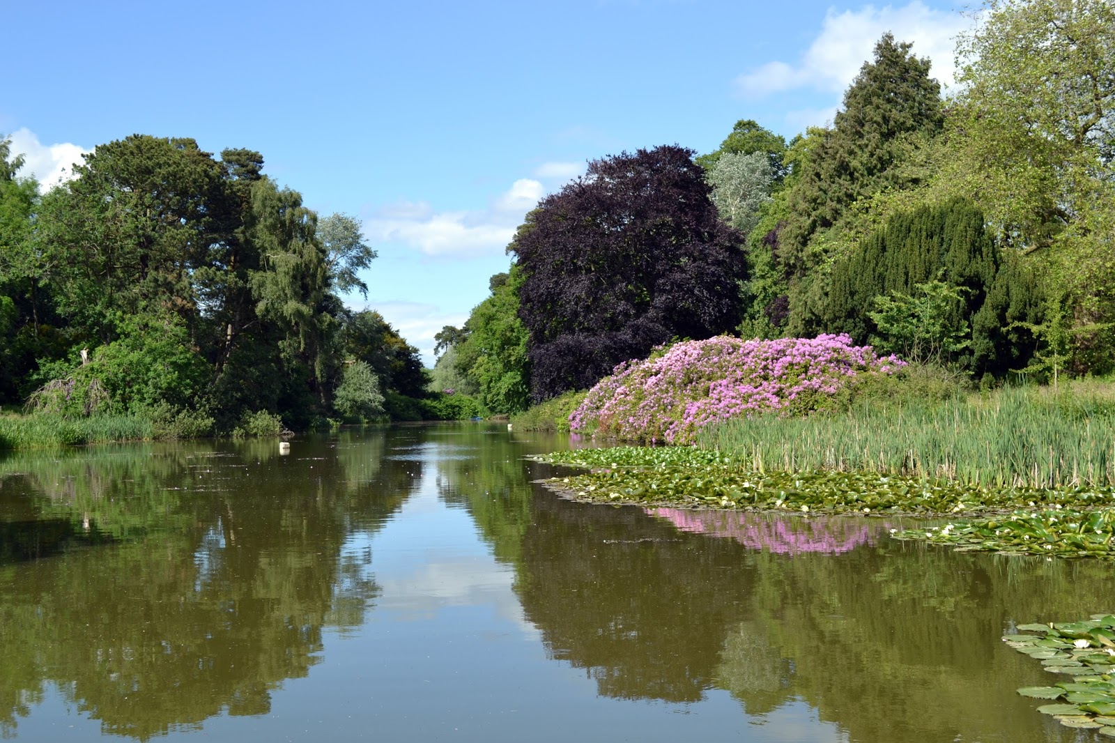 Today Around Coventry Newnham Paddox Revisited