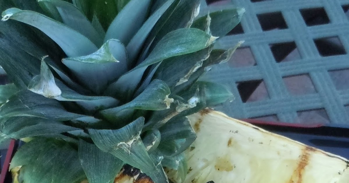 Grilled Pineapple Wedges My Angel's Allergies